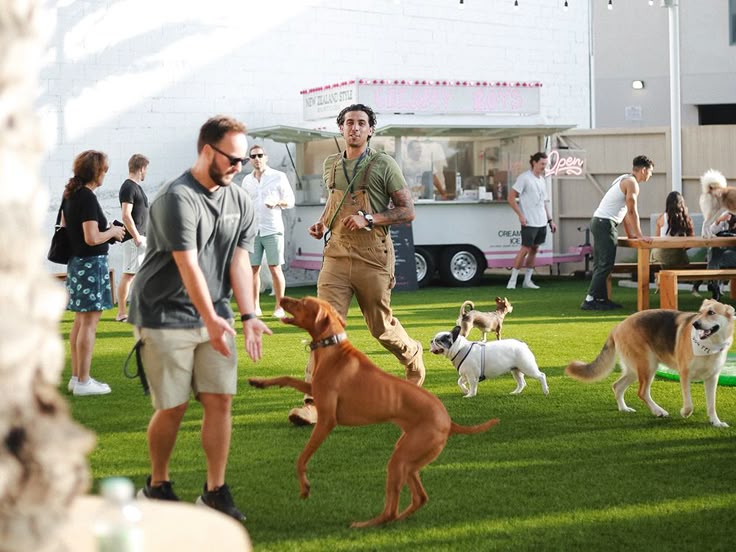 Early Socialization: The Key to a Well-Balanced Adult Dog