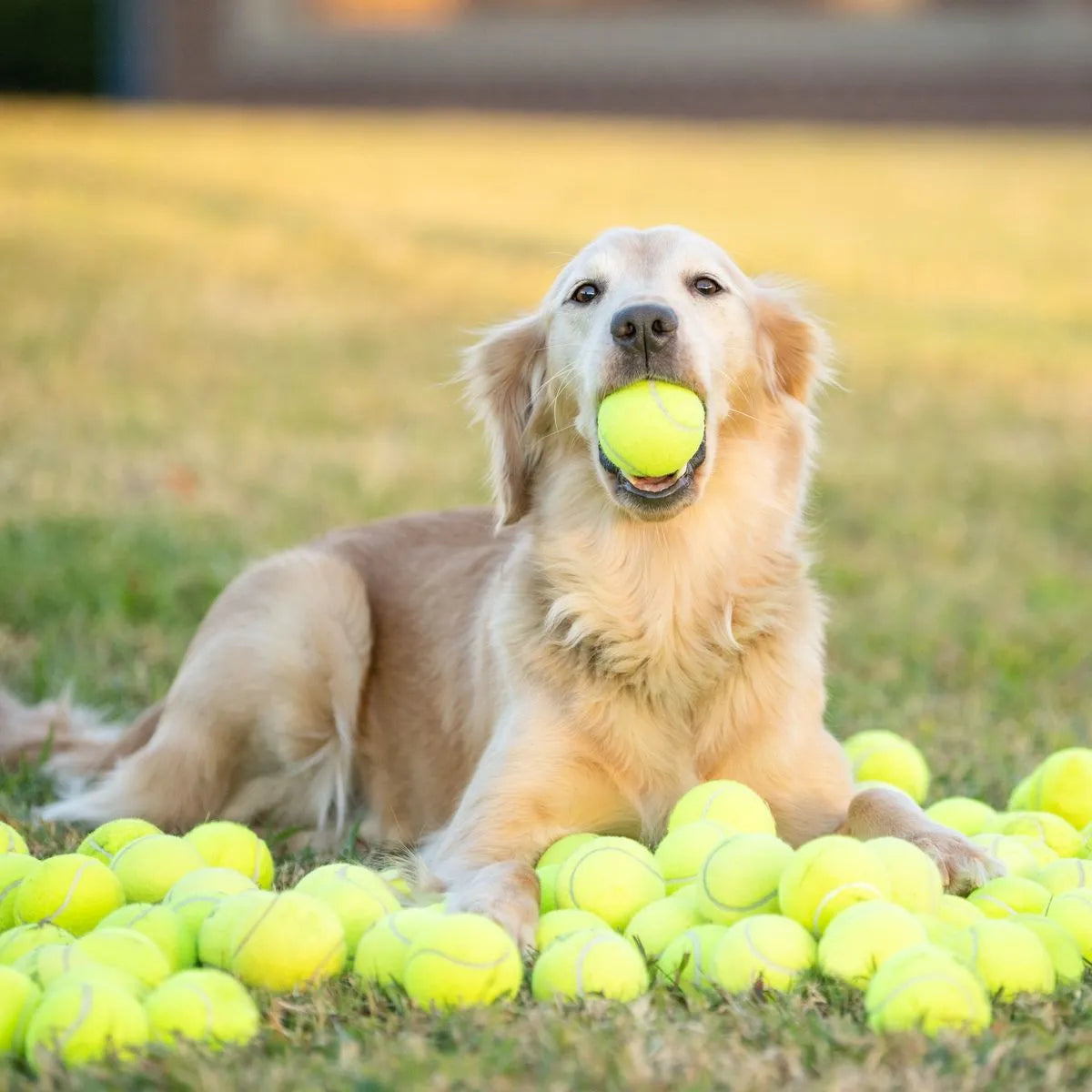 edit balls tennis