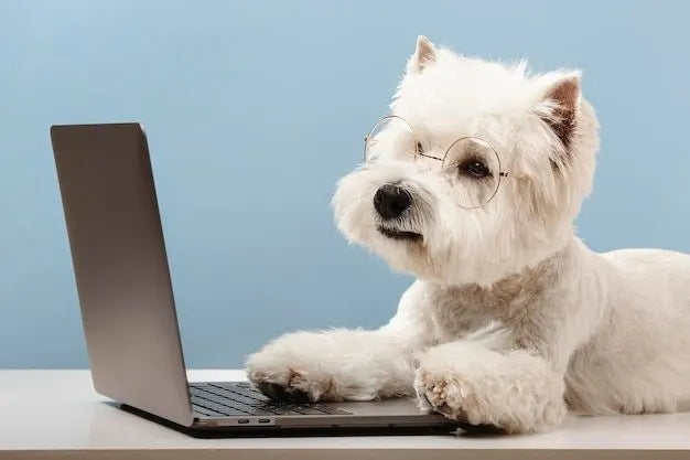 Fresh Dog Food Delivered to Your Home: A Revolution for Your Dog's Health and Well-being