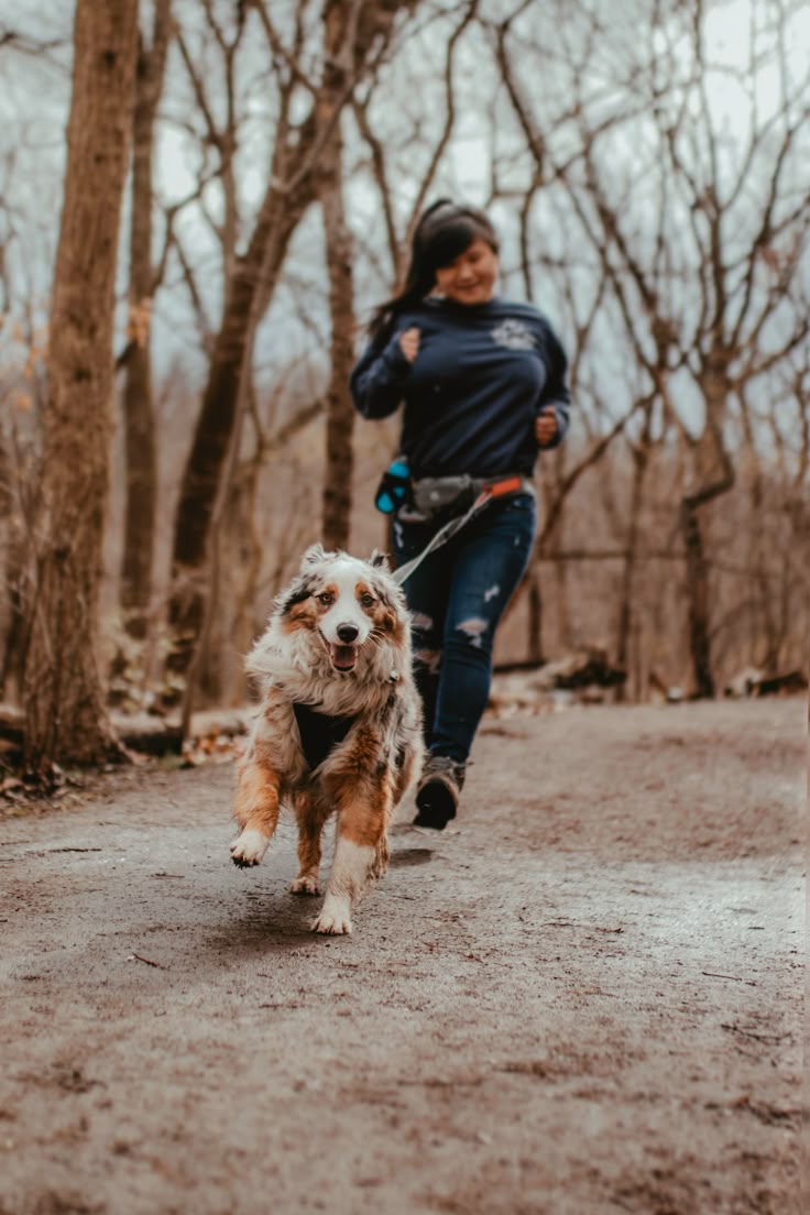 Preventing Puppy Behavior Problems: Setting the Foundation for the Future